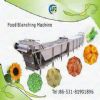 Food Drying Oven